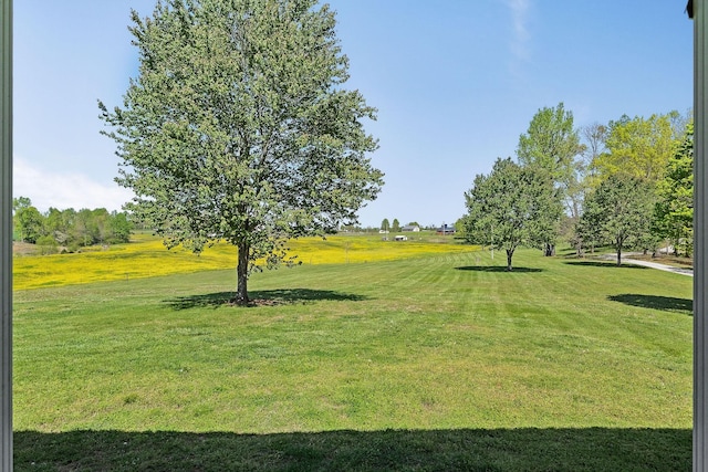 view of yard featuring golf course view