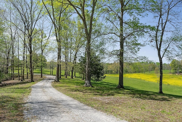 surrounding community featuring a lawn and driveway