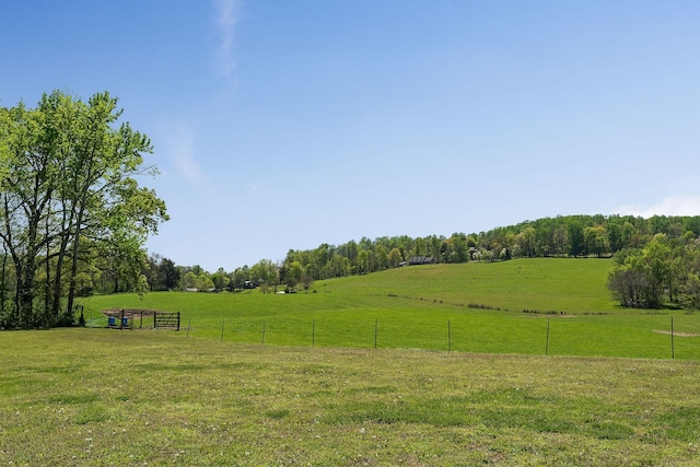view of yard with fence and a rural view