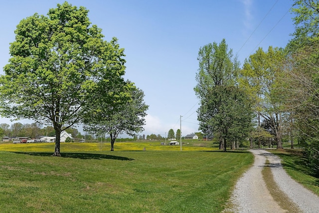 view of community featuring a yard