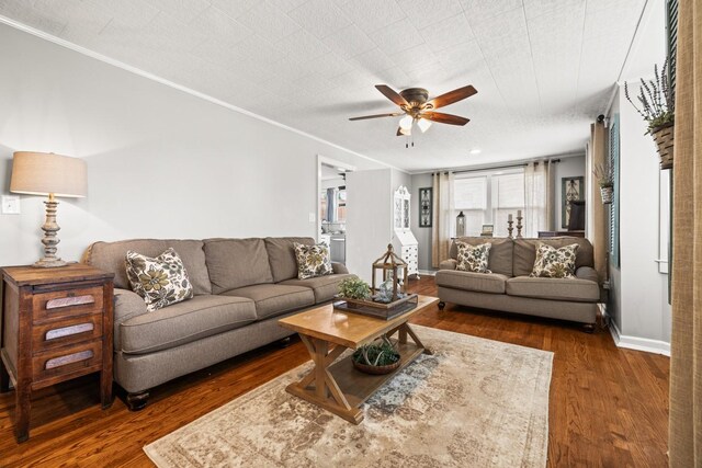 711 5th Ave, Fayetteville, TN 37334 - photo 13