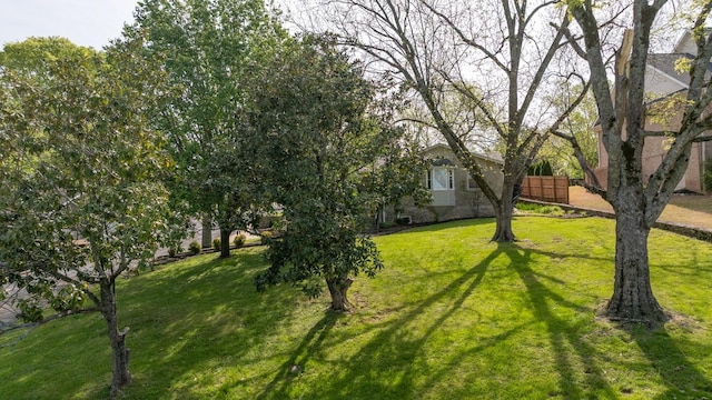 711 5th Ave, Fayetteville, TN 37334 - photo 37