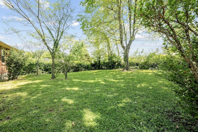 view of yard