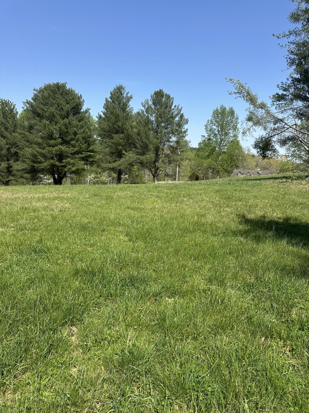 0 Fish Hook Dr, Smithville, TN 37166