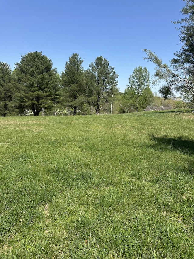 0 Fish Hook Dr, Smithville, TN 37166