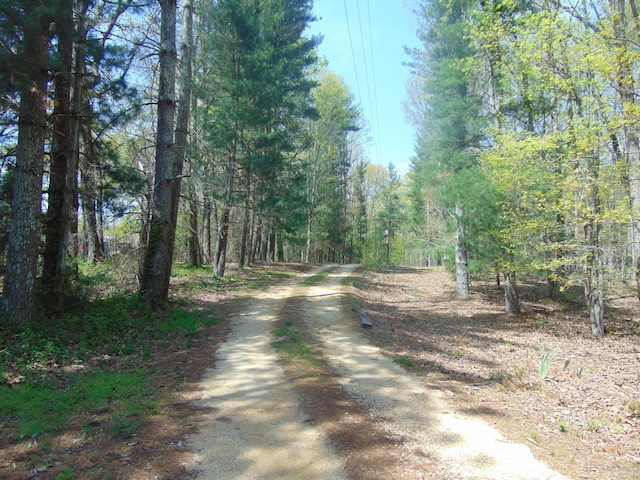 510 Napier Rd, Lawrenceburg, TN 38464 - photo 2