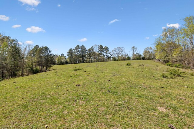 3467 Shouse Rd, Santa Fe, TN 38482 - photo 33