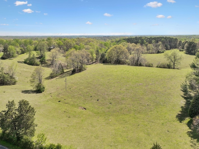 3467 Shouse Rd, Santa Fe, TN 38482 - photo 39