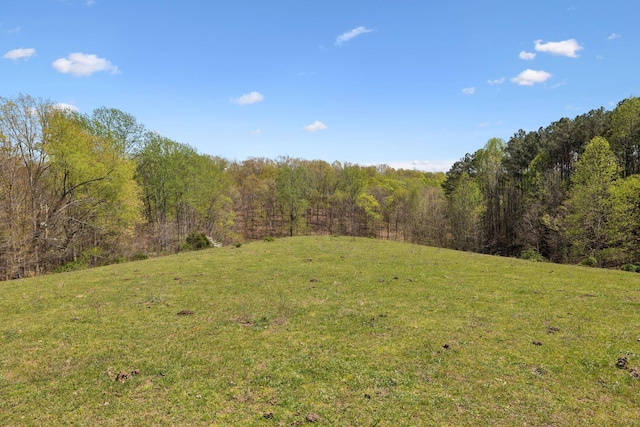 3467 Shouse Rd, Santa Fe, TN 38482 - photo 34