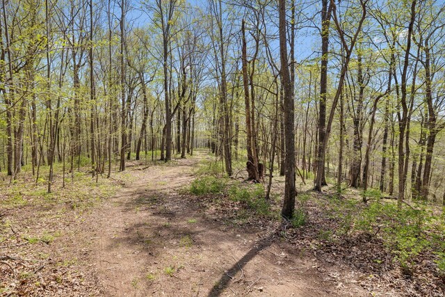 3467 Shouse Rd, Santa Fe, TN 38482 - photo 19
