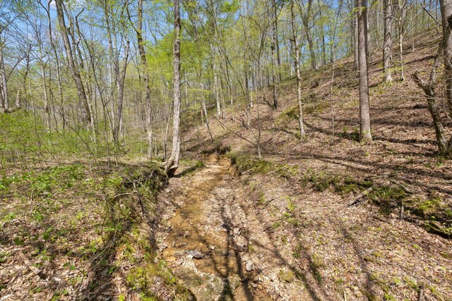 3467 Shouse Rd, Santa Fe, TN 38482 - photo 23