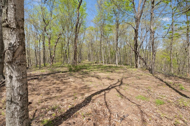 3467 Shouse Rd, Santa Fe, TN 38482 - photo 21