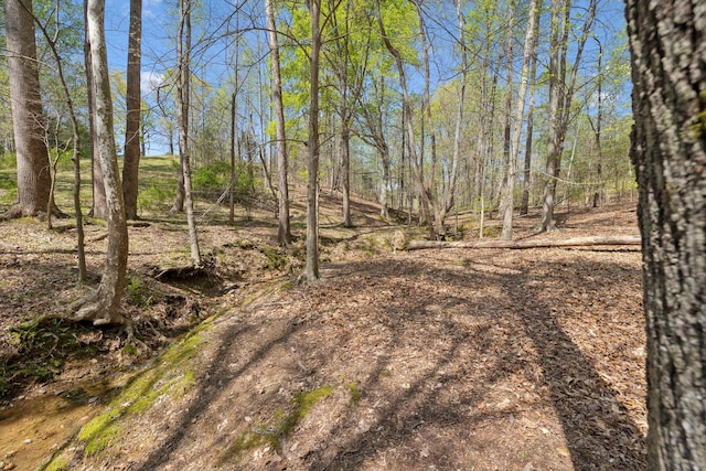 3467 Shouse Rd, Santa Fe, TN 38482 - photo 31
