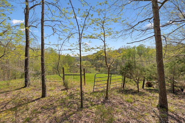 3467 Shouse Rd, Santa Fe, TN 38482 - photo 22
