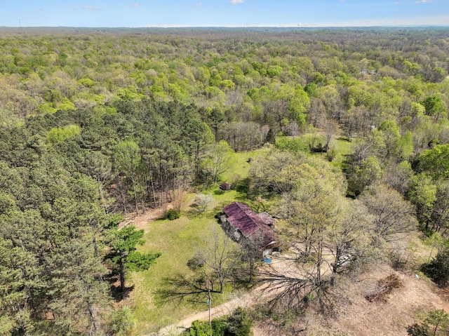 3467 Shouse Rd, Santa Fe, TN 38482 - photo 46