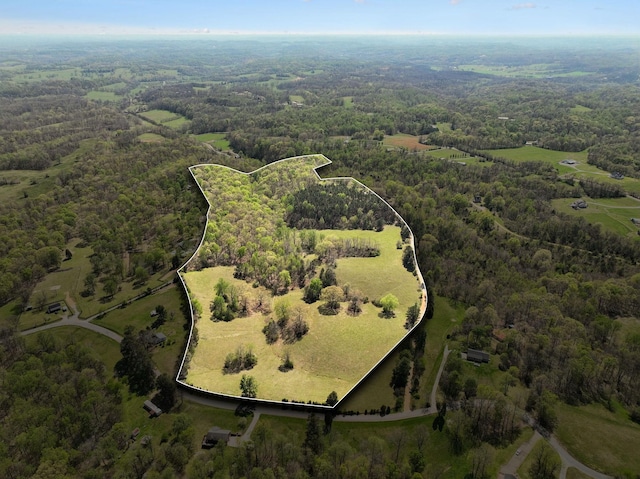 3467 Shouse Rd, Santa Fe, TN 38482 - photo 35