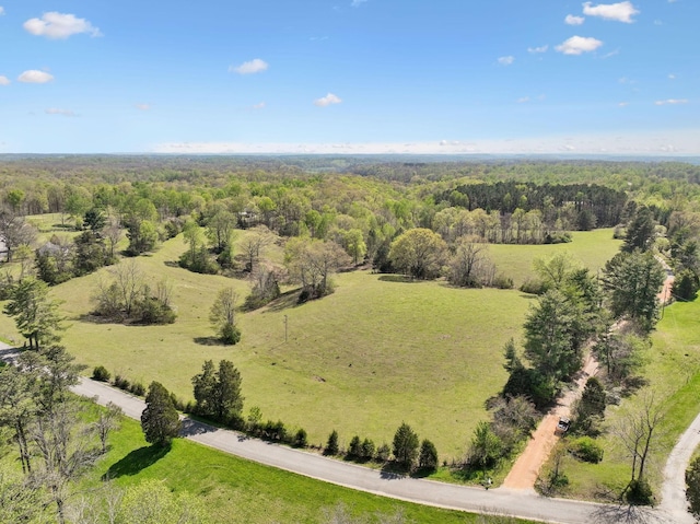 3467 Shouse Rd, Santa Fe, TN 38482 - photo 38