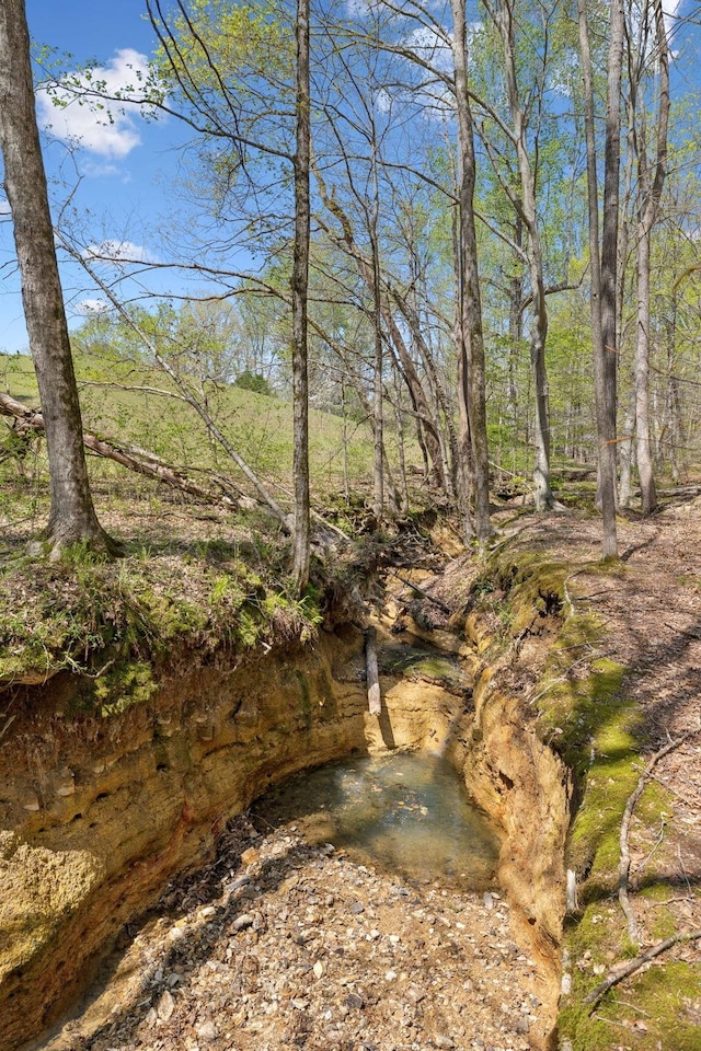 3467 Shouse Rd, Santa Fe, TN 38482 - photo 28