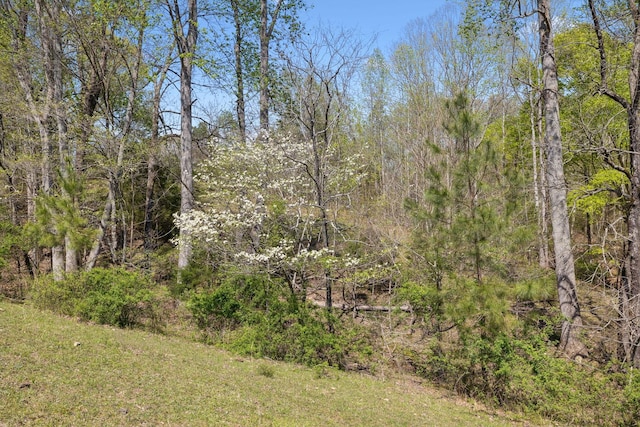 3467 Shouse Rd, Santa Fe, TN 38482 - photo 32