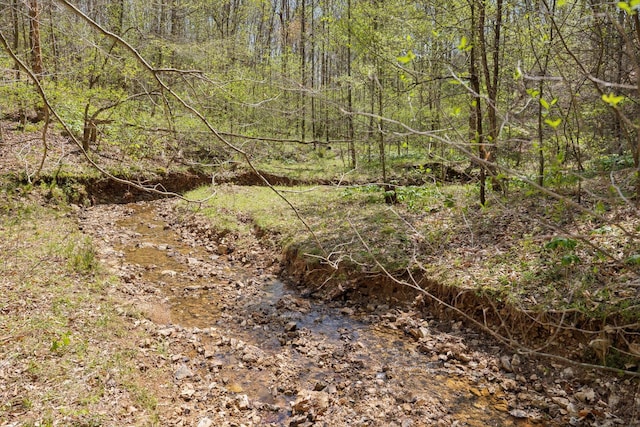 3467 Shouse Rd, Santa Fe, TN 38482 - photo 26
