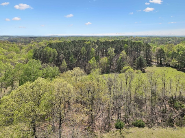 3467 Shouse Rd, Santa Fe, TN 38482 - photo 42