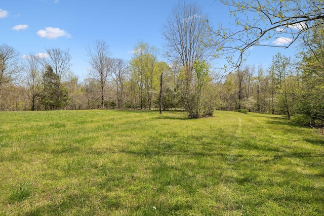 3467 Shouse Rd, Santa Fe, TN 38482 - photo 18