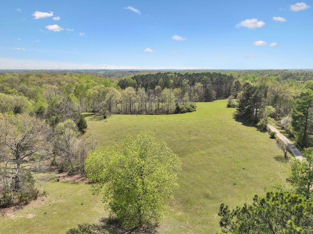 3467 Shouse Rd, Santa Fe, TN 38482 - photo 41