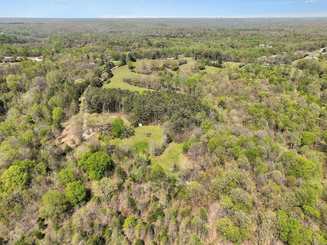 3467 Shouse Rd, Santa Fe, TN 38482 - photo 44