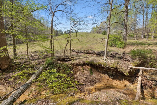 3467 Shouse Rd, Santa Fe, TN 38482 - photo 30