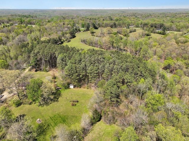 3467 Shouse Rd, Santa Fe, TN 38482 - photo 43