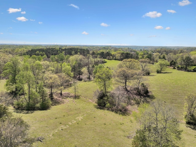 3467 Shouse Rd, Santa Fe, TN 38482 - photo 40