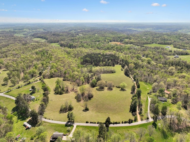 3467 Shouse Rd, Santa Fe, TN 38482 - photo 36