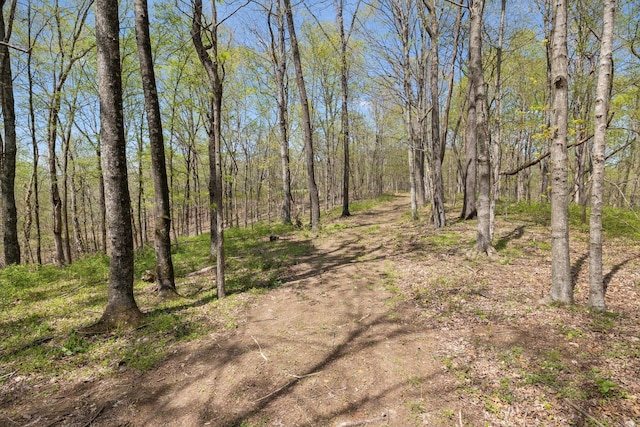 3467 Shouse Rd, Santa Fe, TN 38482 - photo 20