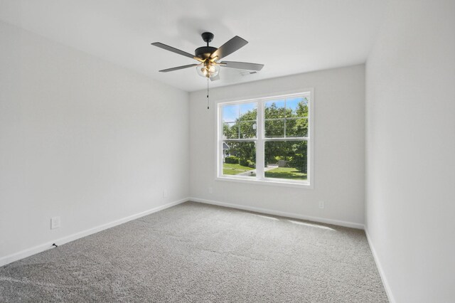 1327 Sun Valley Rd, Clarksville, TN 37040 - photo 30