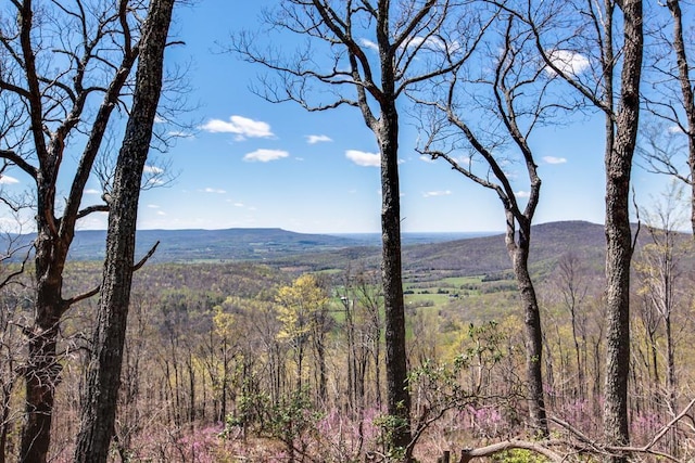 7 Long Mtn, Mcminnville, TN 37110 - photo 9