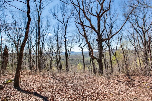 7 Long Mtn, Mcminnville, TN 37110 - photo 59