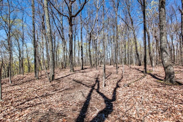7 Long Mtn, Mcminnville, TN 37110 - photo 55