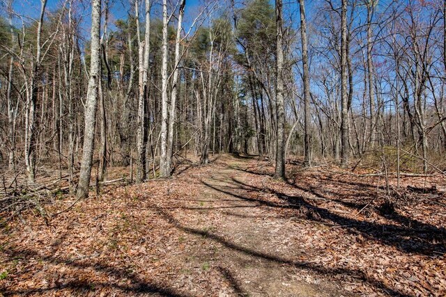 7 Long Mtn, Mcminnville, TN 37110 - photo 61
