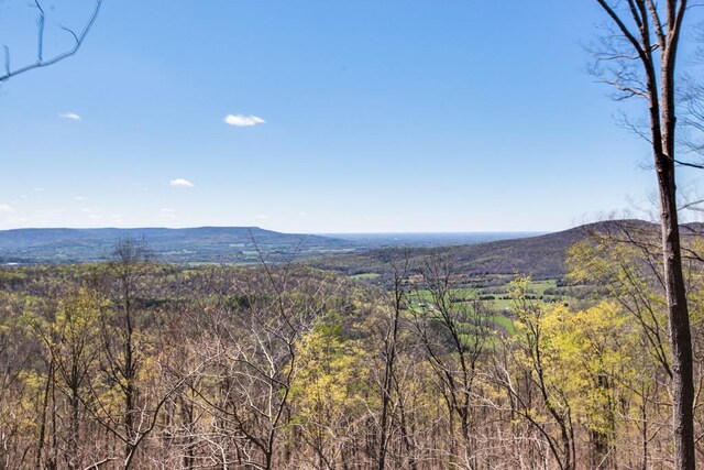 7 Long Mtn, Mcminnville, TN 37110 - photo 58