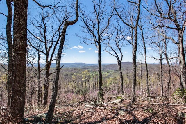 7 Long Mtn, Mcminnville, TN 37110 - photo 53