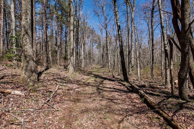 7 Long Mtn, Mcminnville, TN 37110 - photo 62