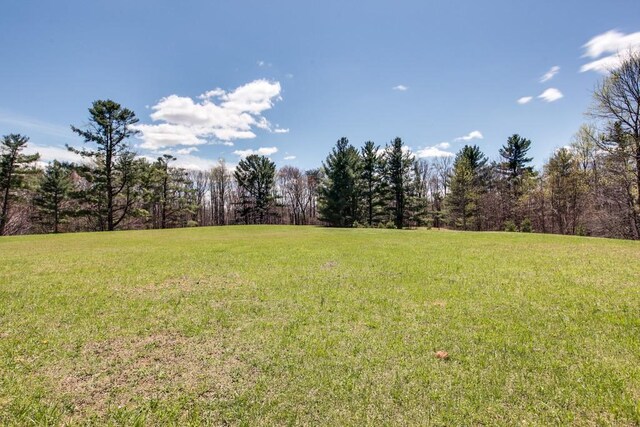 7 Long Mtn, Mcminnville, TN 37110 - photo 51