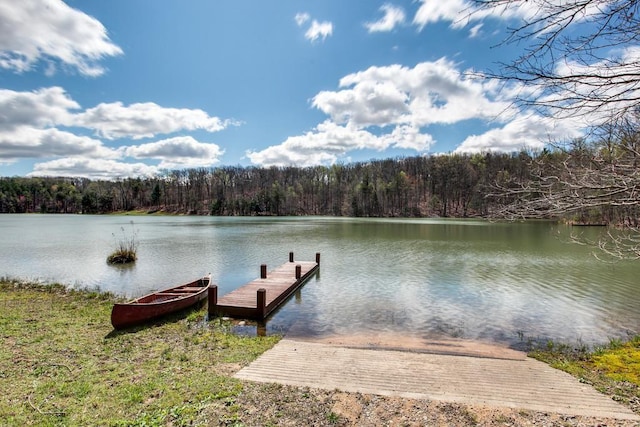 7 Long Mtn, Mcminnville, TN 37110 - photo 4