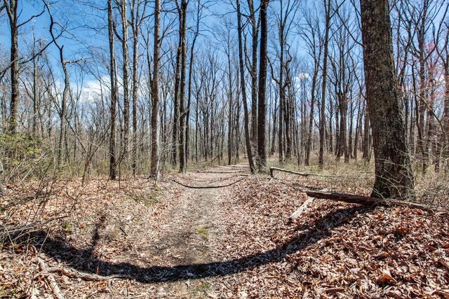 7 Long Mtn, Mcminnville, TN 37110 - photo 52