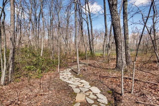 7 Long Mtn, Mcminnville, TN 37110 - photo 50
