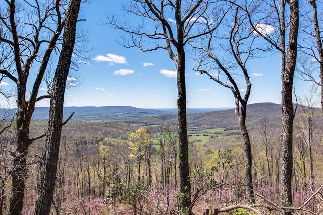 7 Long Mtn, Mcminnville, TN 37110 - photo 54