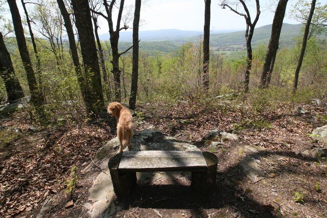 7 Long Mtn, Mcminnville, TN 37110 - photo 7