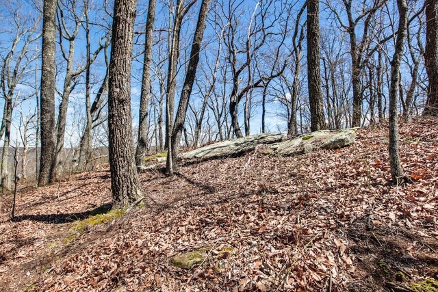 7 Long Mtn, Mcminnville, TN 37110 - photo 56