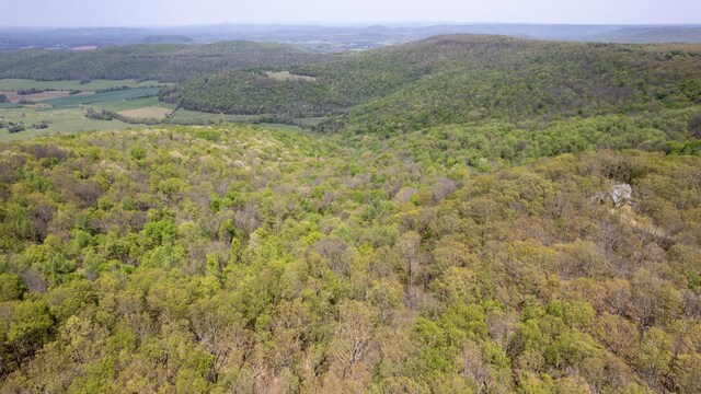8 Long Mountain Trl, Mcminnville, TN 37110 - photo 32