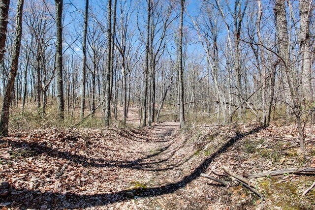 8 Long Mountain Trl, Mcminnville, TN 37110 - photo 9